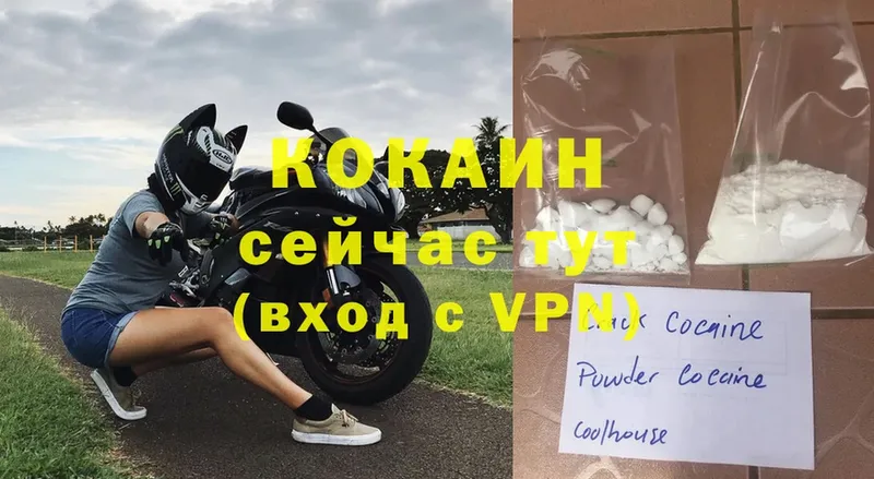 где найти наркотики  Валдай  COCAIN VHQ 